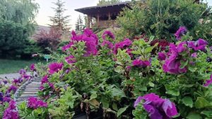 Анапа.. Славянка..