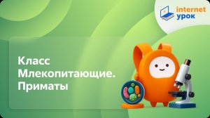 Биология 7 класс. Класс Млекопитающие. Приматы