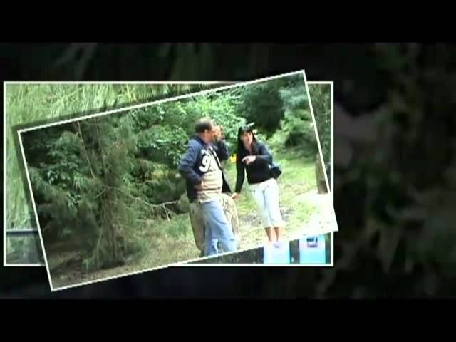 сваты и ко смотреть онлайн