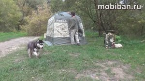 Тест Мобиба МБ-18 СП с печью Паробомба-100. Подготовка