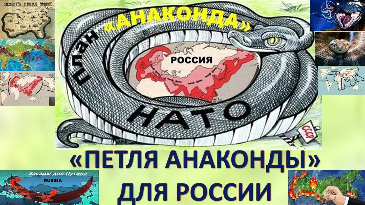 Каковы истинные причины начала СВО смотреть онлайн