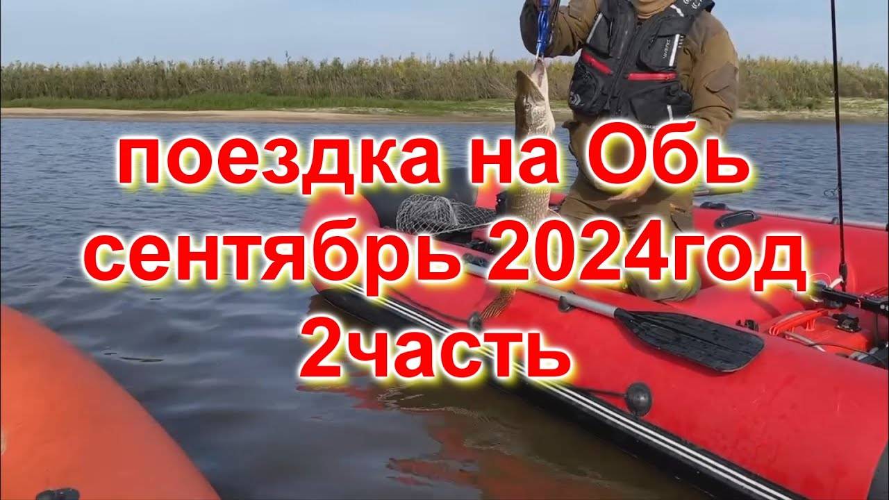 обь 2024 2 часть