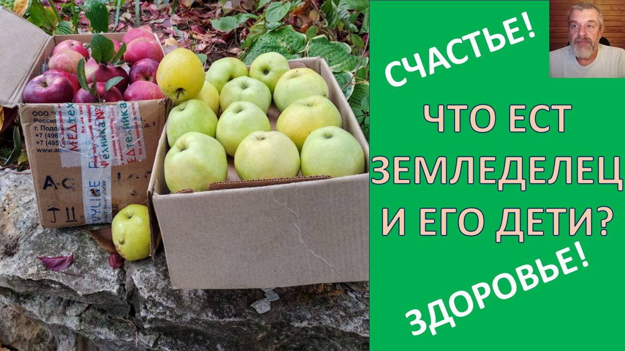 АБСОЛЮТНАЯ ГАРМОНИЯ В ЖИЗНИ ДОСТИЖИМА! ОПЫТ ЗЕМЛЕДЕЛЬЦА! ВЫБОР ЗА ВАМИ смотреть онлайн