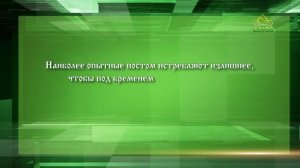 Слушаем святых отцов