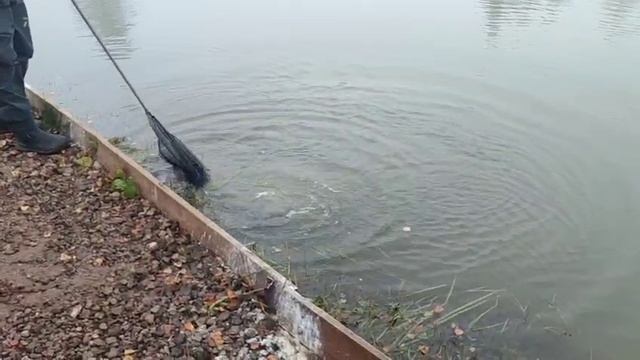 WhatsApp Video 2025-10-06 at 11.56.15 смотреть онлайн