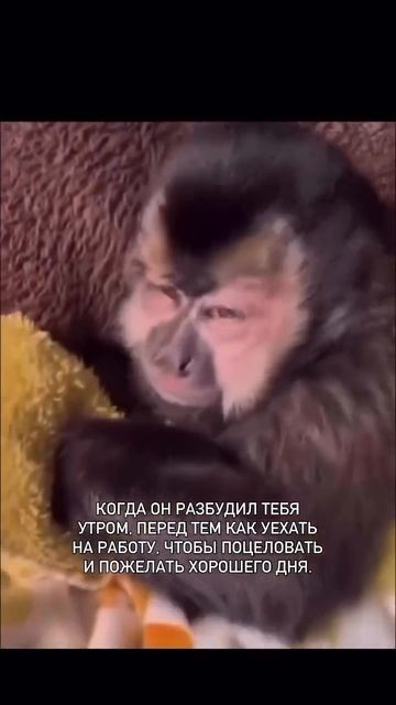 Дай поспать еще 🤣😆 смотреть онлайн