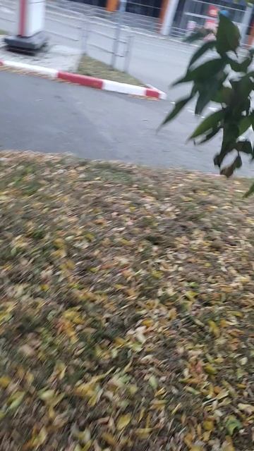 Промывка фильтров кассетного фанкойла, который никогда не мыли.