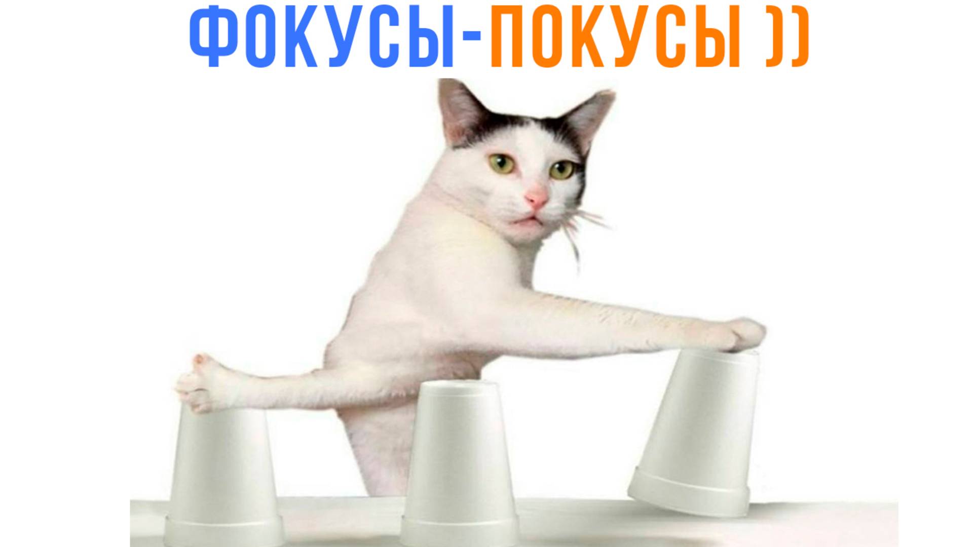 КОШАЧЬИ ФОКУСЫ ))) Приколы | Мемозг 1669 смотреть онлайн