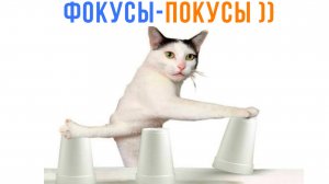 КОШАЧЬИ ФОКУСЫ ))) Приколы | Мемозг 1669