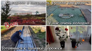 #142 ВЛОГ 🏠 Съездили в питомник, купили две розы. Готовимся к заливке дорожки. У нас очень холодно