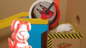 Конфетная тюрьма для хомячка. Желейный Стасик умирает от зависти