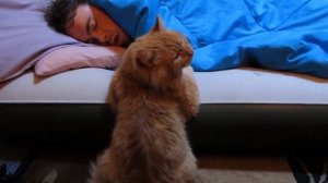 ДАВАЙ, ВСТАВАЙ