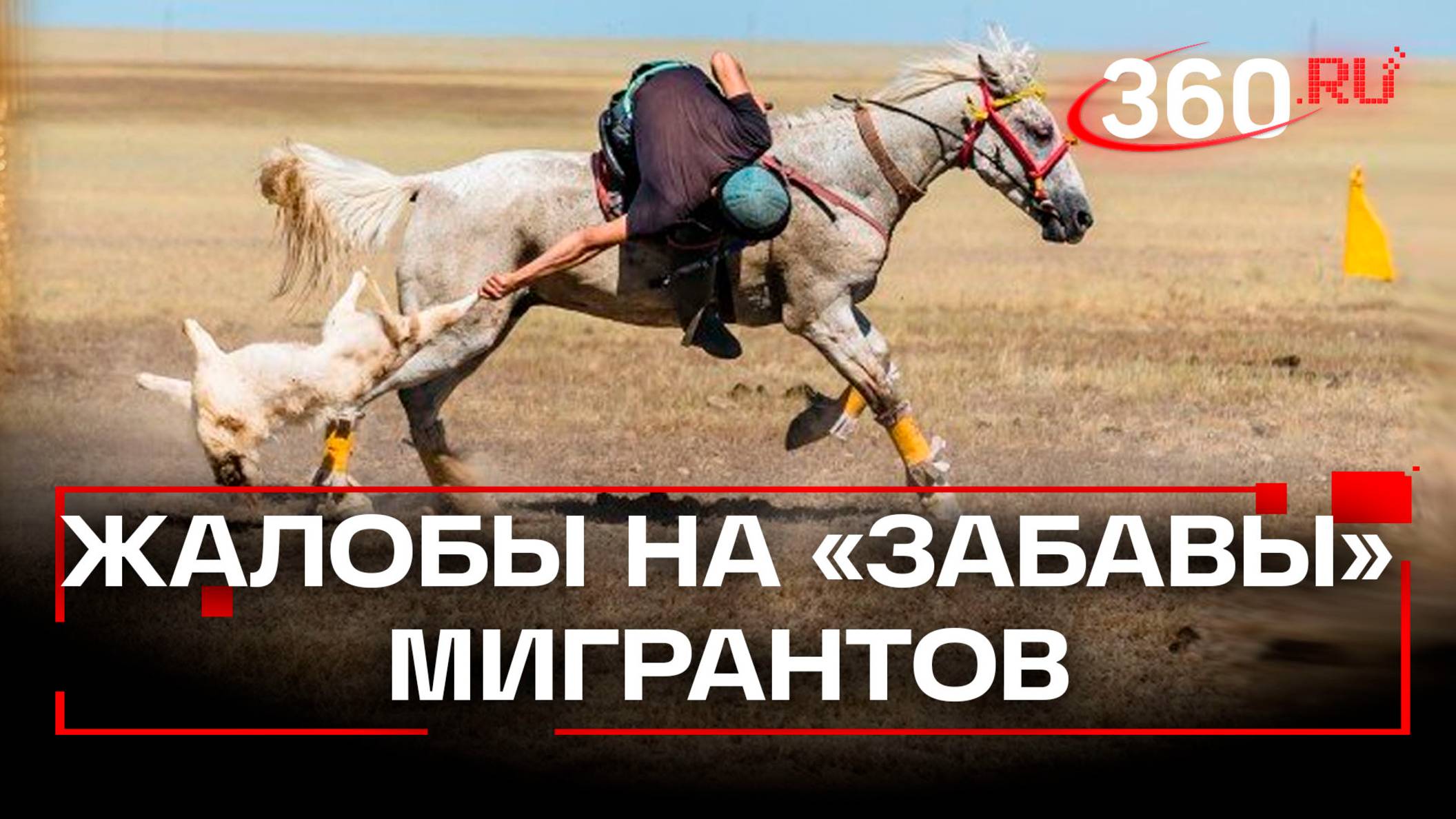 Жители Раменского просят проверить организаторов чемпионата по кок-бору смотреть онлайн