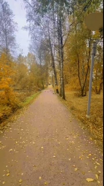 Осень пахнет грустью ...