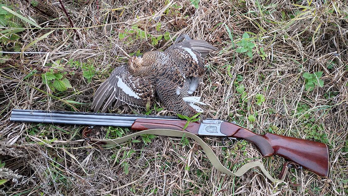 ОХОТА ОСЕНЬ 2025 смотреть онлайн