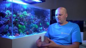 НУЖНО ЛИ ИСПОЛЬЗОВАТЬ ИХ ВМЕСТЕ?