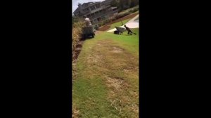 Смешные Видео До Слез Русские