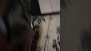 Ещё одна трансляция
