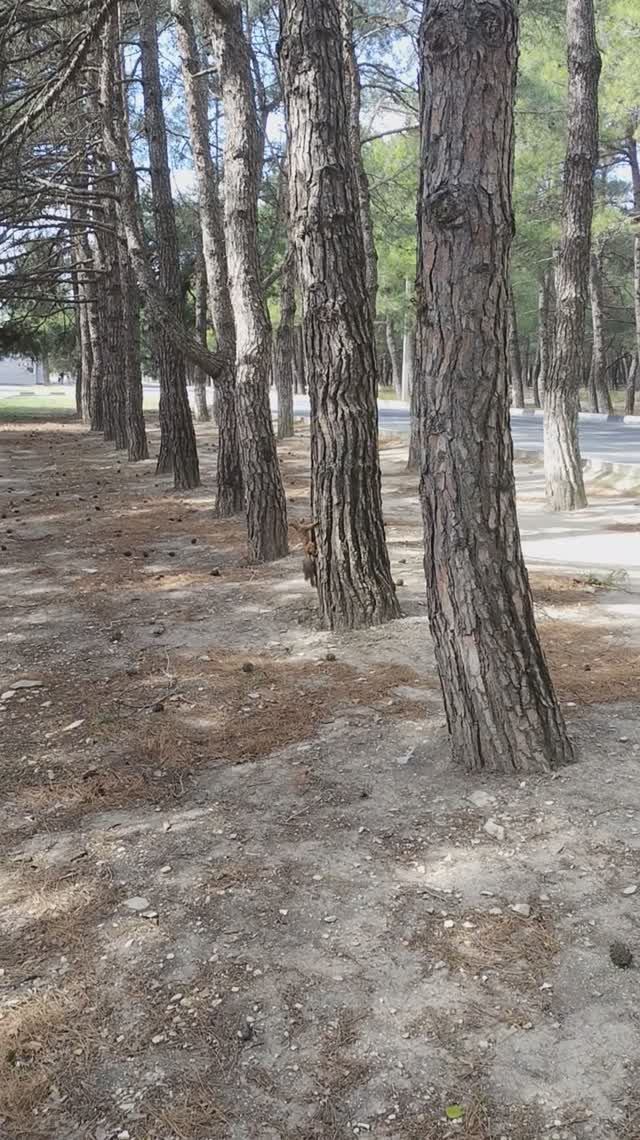 спрятать не получится смотреть онлайн