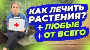 ОБЩИЙ ПРИНЦИП ЛЕЧЕНИЯ БОЛЕЗНЕЙ НА ВСЕХ КУЛЬТУРАХ