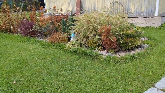 09-10-2025.Дача.Горчичный жмых для теплицы!Новый бордюр для клумбы. смотреть онлайн