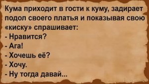 Как кума к куму в гости ходила. Сборник анекдотов
