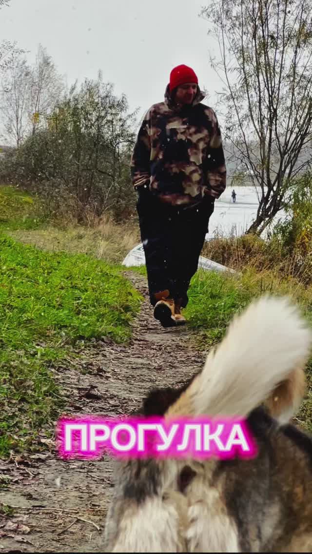 Прогулка на камеру смотреть онлайн