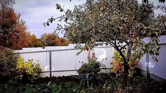 1000000570.mp4-стрим Инны Судаковой 📹. Между макаронами 🍝, исламом 🕌. Семейный Адом_диагноз по ст смотреть онлайн