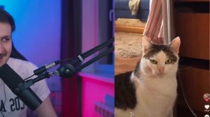 На Эти Тик Токи 100% стоит ВЗГЛЯНУТЬ Реакция