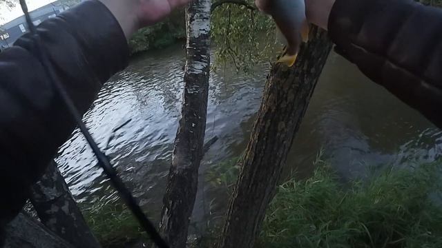 Рыбалка в городе на спиннинг (StreetFishing)