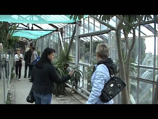 ялта 2011.mpg смотреть онлайн