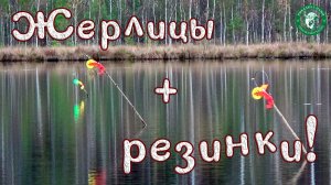 ЖЕРЛИЦЫ ПРОТИВ ДЕДОВСКИХ РЕЗИНОК, РЫБАЛКА НА ТАЁЖНОМ ОЗЕРЕ! ПЕРВАЯ ПОКЛЁВКА ЩУКИ ОБРЕЗАЛА ПОВОДОК!