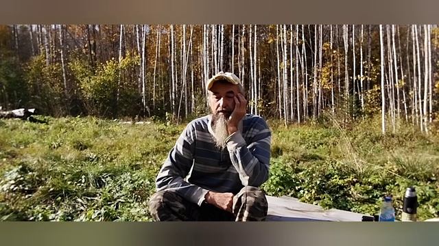 Оказывается медведи едят упавшие яблоки.