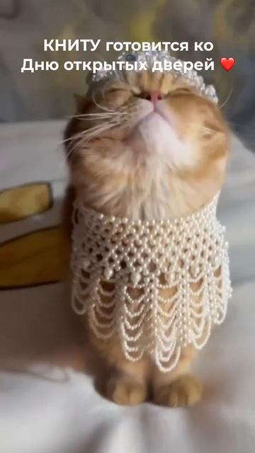 День открытых дверей КНИТУ смотреть онлайн