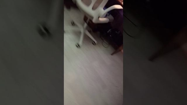 утренняя дискотека.