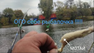 ОГО себе, рыбалка сезона, 05.10.25.