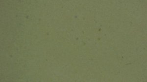 Алмазный брусок TSPROF Alpha 3/2