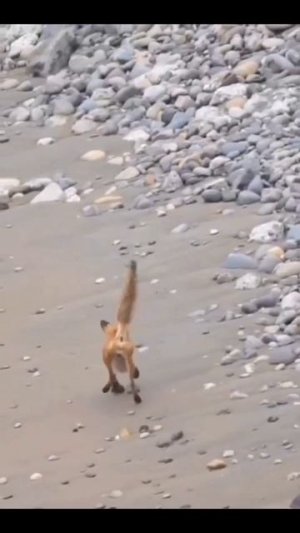 Хочешь жить,умей вертеться. Подписываемся 😉