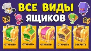 Zooba Открываю ящики