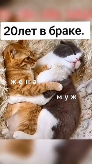 Семейная жизнь она такая