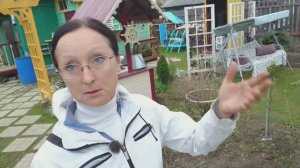 Видео привет с 6 соток 3 октября 2025 года