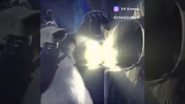 1000002479.mp4 смотреть онлайн