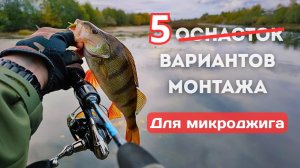 🎣 Микроджиг для начинающих 2025 — 5 лучших монтажей + бонус | Оснастки и практика на воде