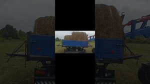 Сетово может не деревня