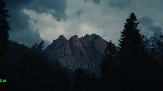 Чебурашка 2. Фильм 2026. Трейлер фильма. смотреть онлайн