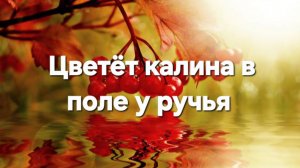 Цветёт калина в поле у ручья