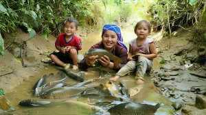 Ловлю большую речную рыбу для продажи на рынке. Готовлю яичную кашу для маленькой дочери. Вьетнам