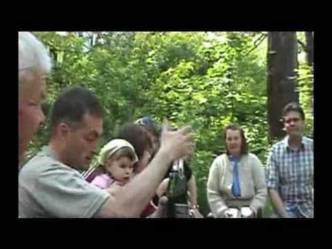 Прикол с шампанским смотреть онлайн