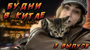 БУДНИ В КИТАЕ | RYLLSKAYA Выпуск 3