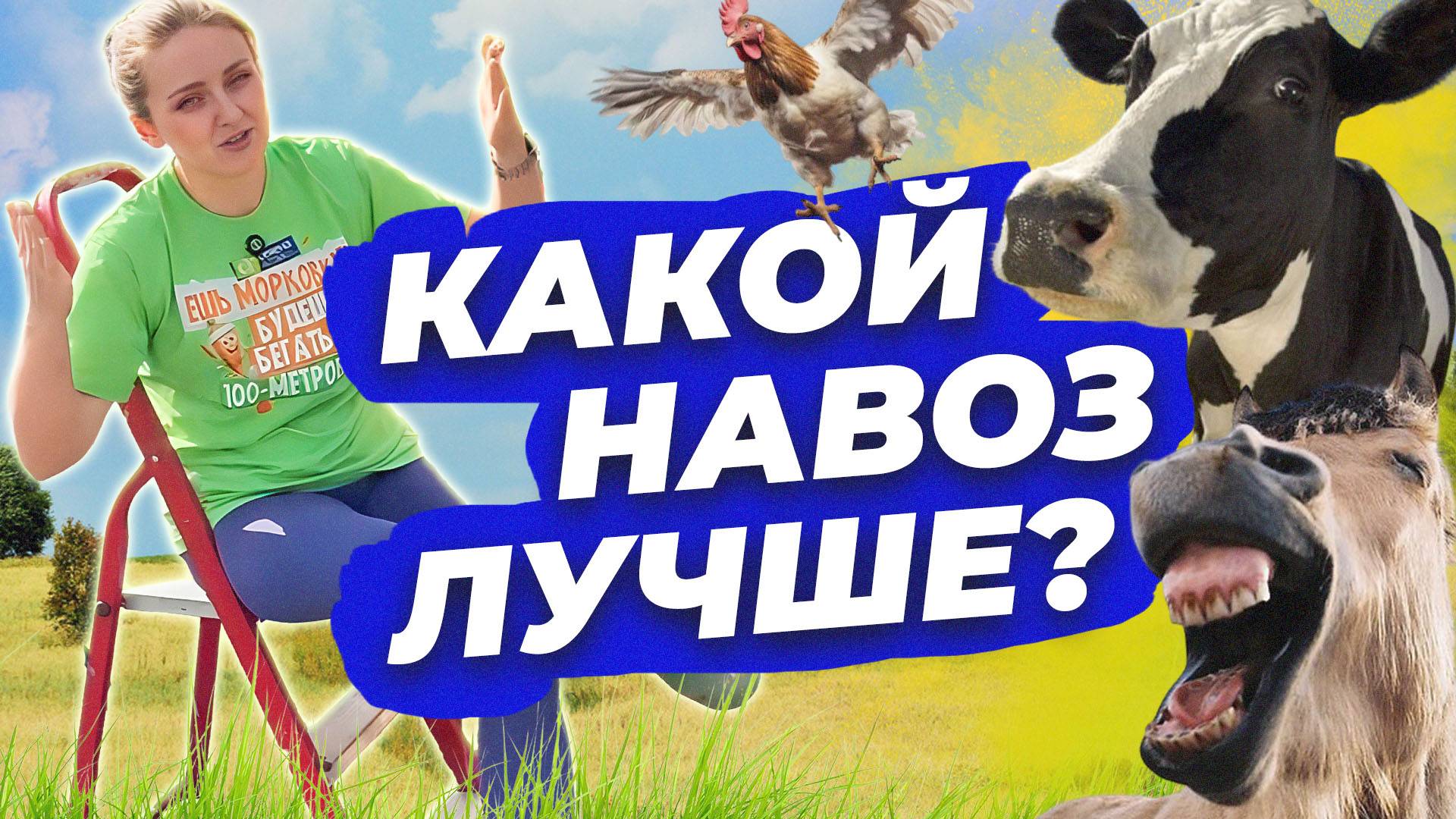 ВИДЫ НАВОЗА: С КАКИМ БЫТЬ ОСТОРОЖНЕЕ смотреть онлайн